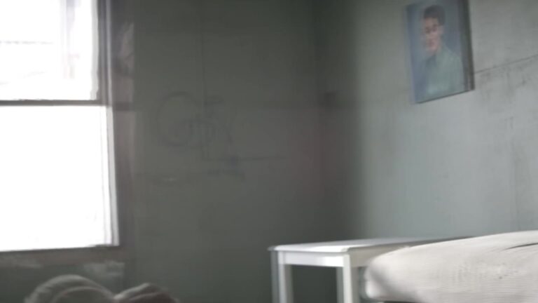 0456 Sia - Chandelier