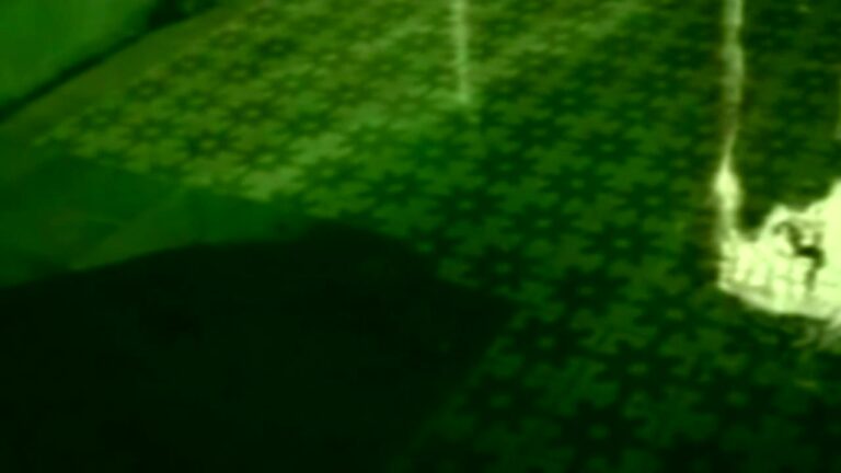 0480 Don Omar - Pobre Diabla