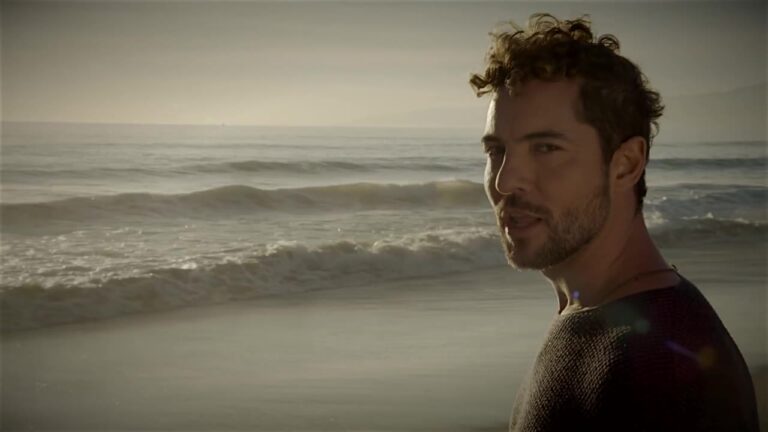 0607 David Bisbal - Fiebre